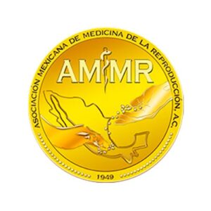AMMR Certificado